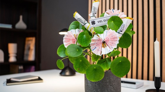 Topfpflanze mit zur Blüte geformten Eurojackpot-Spielscheinen | WestLotto