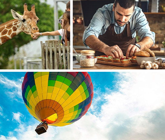 Wunscherfueller Collage, zeigt eine Giraffe, einen Koch und einen Heißluftballon