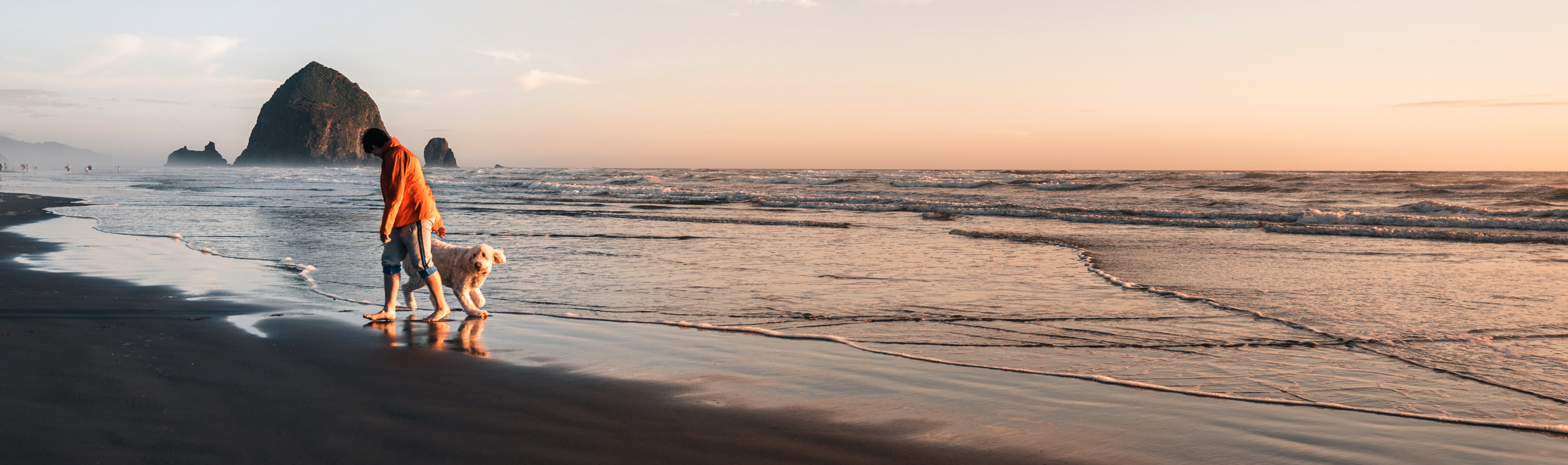 Mann mit Hund spielen am Strand bei Sonnenuntergang.