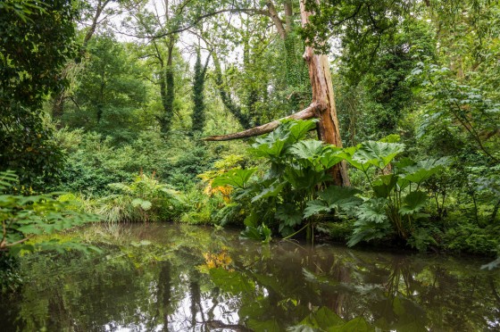 Auenlandschaft der Erft | WestLotto-Ausflugstipps EM 2024