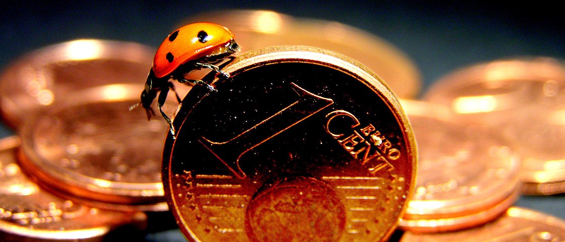 Ein Marienkäfer krabbelt über ein stehendes Cent-Stück | WestLotto Glücksbringer LOTTO 6aus49