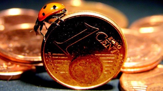 Ein Marienkäfer krabbelt über ein stehendes Cent-Stück | WestLotto Glücksbringer LOTTO 6aus49