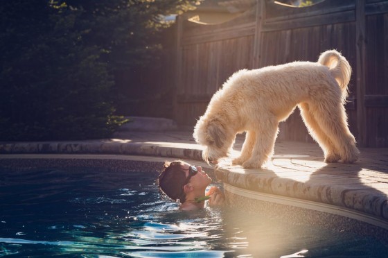Junge schwimmt im Pool und ein Hund steht am Beckenrand und streckt seinen Kopf in Richtung des Jungen | WestLotto GlücksSpirale-Sonderauslosung