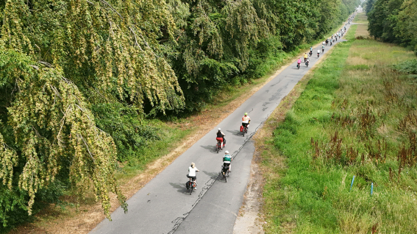 Drohnenaufnahme von der NRW Radtour durch eine bewaldete Landstraße