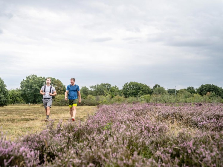 Drover Heide | WestLotto Ausflugstipps