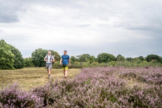 Drover Heide | WestLotto Ausflugstipps