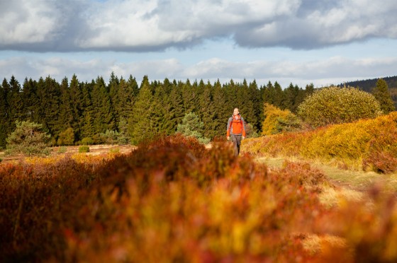 Hochheide Neuer Hagen| WestLotto-Ausflugstipps NRW 