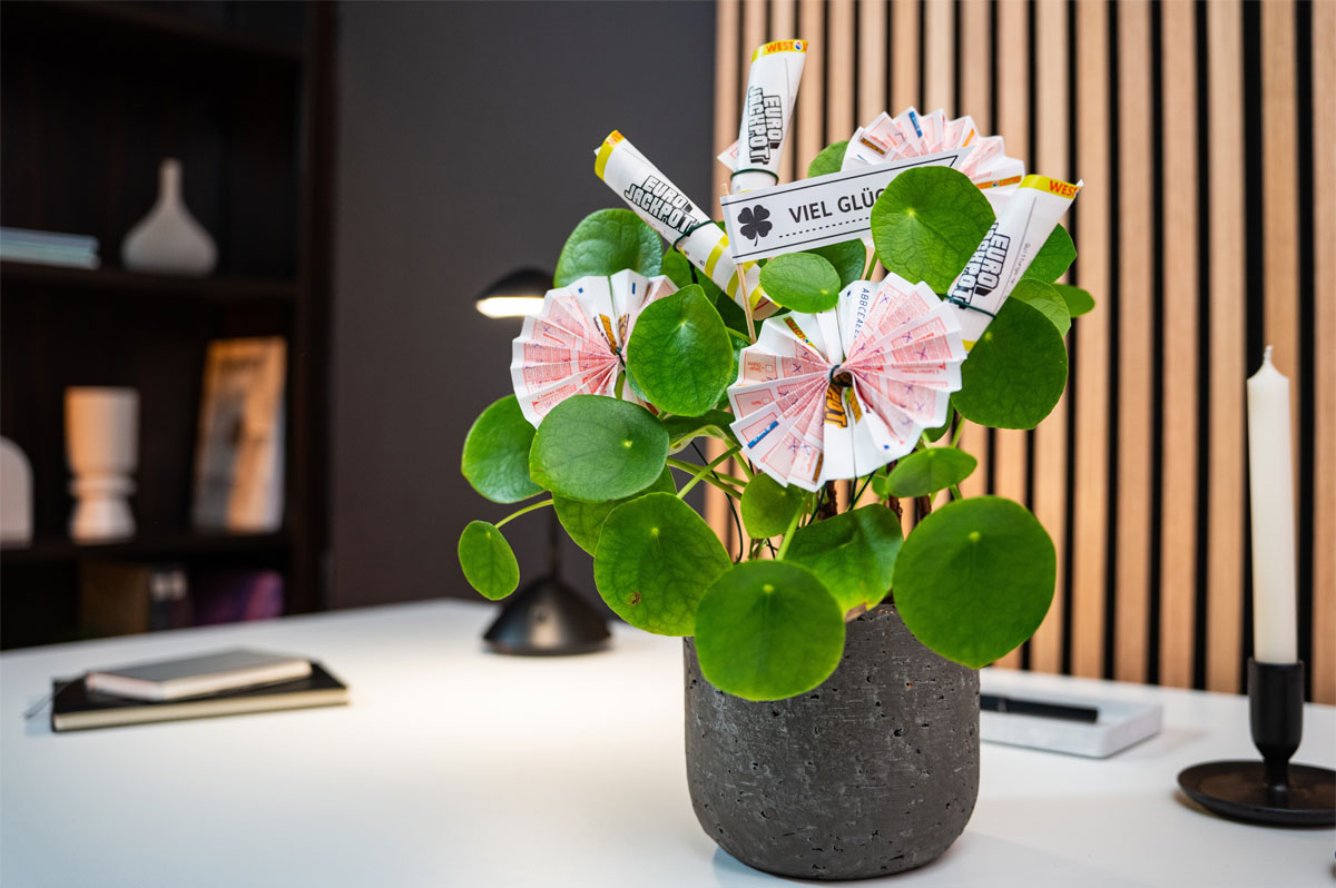 Blumentopf mit Pflanze und zur Blüte gefalteten Eurojackpot-Spielscheinen | DIY-Idee