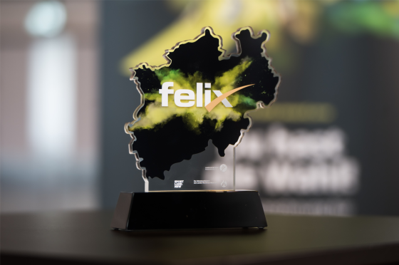 Grafik zeigt unterschiedliche Sportlerinnen und Sportler | felix award 2024 Grafik zeigt unterschiedliche Sportlerinnen und Sportler | felix award 2024