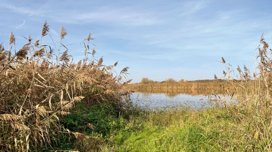 Externsteine | WestLotto Ausflugstipps NRW